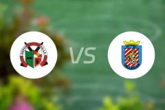 瓦瑞vs维勒加斯比分预测【2025/11/23】