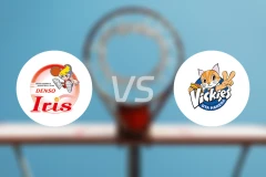 电装小仙女女篮vs东京羽田酷猫女篮比分预测【2025/11/01】