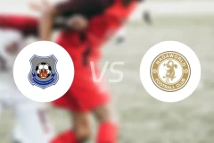 柴桢vs拿加科普比分预测【2026/04/25】