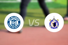 卡列度vs多马日利采比分预测【2025/10/18】