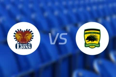 狮心vs科图科比分预测【2026/01/31】