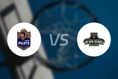 桃园领航猿vs澳门黑熊比分预测【2025/12/14】