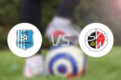 UFC费灵vsSV威尔登比分预测【2026/04/04】