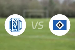 梅彭vs汉堡二队比分预测【2026/02/28】