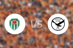 绿色农足vs艾格诺尔马卡巴比分预测【2026/01/31】