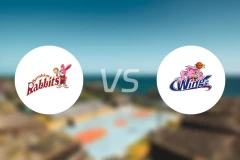 丰田阳光女篮vs爱信飞翼女篮比分预测【2026/02/07】