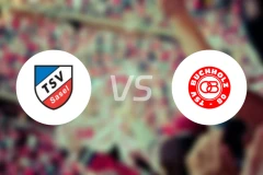 TSV沙塞尔vs布赫霍尔茨比分预测【2026/03/25】