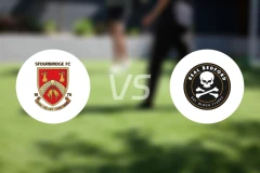 斯托桥vs皇家贝德福德比分预测【2026/02/21】