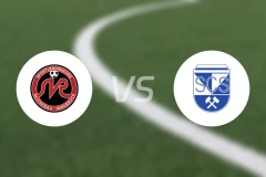 莱歇瑙vs施瓦兹比分预测【2026/04/12】