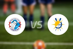 阿拉瓜那vs帕马斯比分预测【2026/02/01】