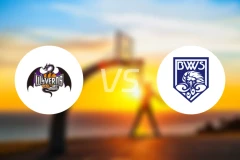 山形飞龙vs福井吹风比分预测【2025/11/15】