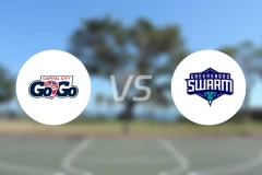 首都前进vs格林斯伯勒蜂群比分预测【2025/11/29】