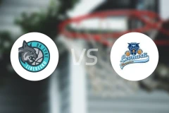 利贝雷茨山猫vs勒哈迪比分预测【2024/12/07】