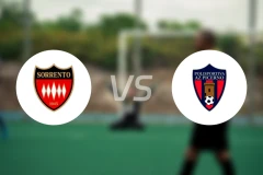 索伦托卡西奥vsAZ皮切尔诺比分预测【2025/12/20】