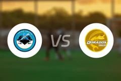 勇敢螃蟹vs黄金河虎比分预测【2026/03/09】