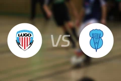 卢高B队vs维维罗比分预测【2025/12/14】