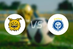 埃尔维斯vs赫尔辛基比分预测【2025/10/31】