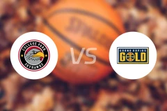 科利奇帕克天鹰vs大急流城黄金比分预测【2026/01/09】