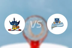 斯拉沃热vs霍穆托夫猎豹比分预测【2025/12/20】