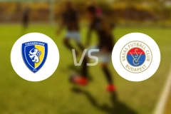 多瑙蒂萨vs华萨斯比分预测【2026/03/01】