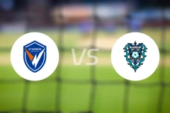 长崎成功丸vs福冈黄蜂比分预测【2026/03/15】