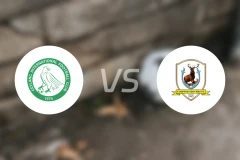 芽笼国际vs淡滨尼流浪者比分预测【2026/01/23】