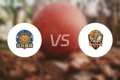 盐南苏科雄狮vs石家庄翔蓝录像回放【2026/03/06】