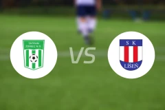 SK多巴由vs利森比分预测【2024/08/21】