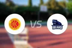 贺森斯vs巴根熊比分预测【2026/02/20】