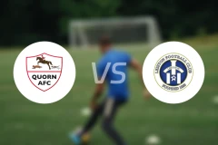 夸恩vs李斯顿比分预测【2026/04/11】