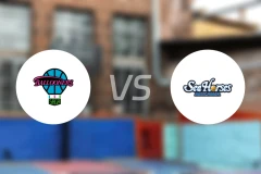 佐贺气球人vs三河海马比分预测【2025/11/01】