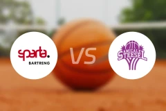 贝尔特兰奇分部vs阿米卡莱斯泰塞尔比分预测【2025/11/16】