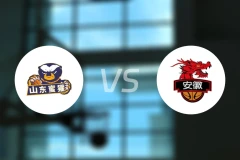 山东蜜獾vs安徽皖江龙录像回放【2026/01/29】