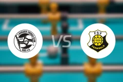 FC哈瑙93vs费瓦德比分预测【2026/03/21】