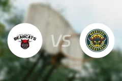 西部阿德莱德斗士vs伍德维尔勇士比分预测【2026/03/28】