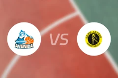 阿维尼达女篮vs杰里斯女篮比分预测【2026/02/15】