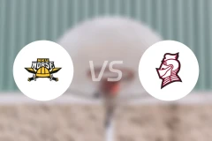 北肯塔基大学vs贝拉明大学比分结果战报【2025/12/14】