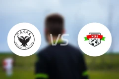 佩伊克vsMEAP尼素奥比分预测【2026/01/31】