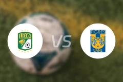 莱昂vs老虎大学比分预测【2026/02/01】