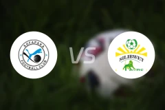 索法帕卡vs波迈特市比分预测【2025/11/29】