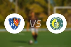 布沙尼路费斯堡vs山路法斯堡比分预测【2025/11/30】