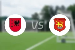威廉港vs舒宁根比分预测【2024/08/31】