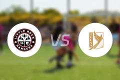 小石城流浪vs塔尔萨钻机工比分预测【2026/03/19】