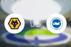 狼队U21vs布莱顿U21比分预测【2026/02/17】