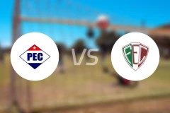 皮奥伊vs弗鲁米嫩塞PI比分预测【2026/03/15】