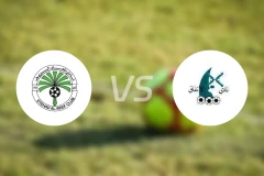 阿尔里夫vs伊迪法克比分预测【2025/11/30】