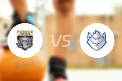 普渡大学韦恩堡分校vs圣路易斯大学比分预测【2025/11/22】