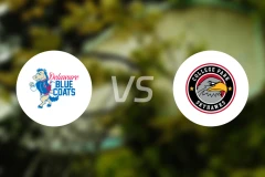 特拉华蓝衫vs科利奇帕克天鹰比分预测【2026/01/15】