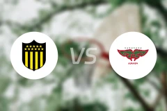 佩纳罗尔vs阿瓜达竞技比分预测【2024/10/29】