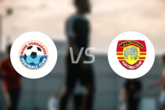 尼日尔FCvs维克吉比分预测【2026/03/29】